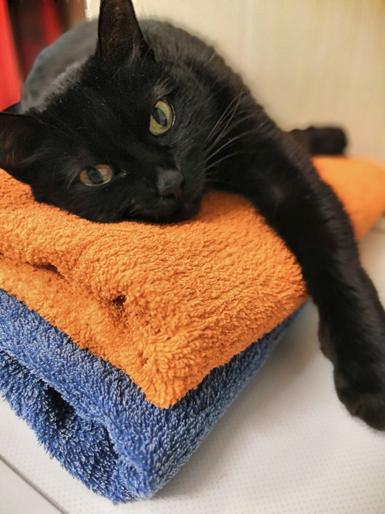 Photograph by Андрей Евтеев