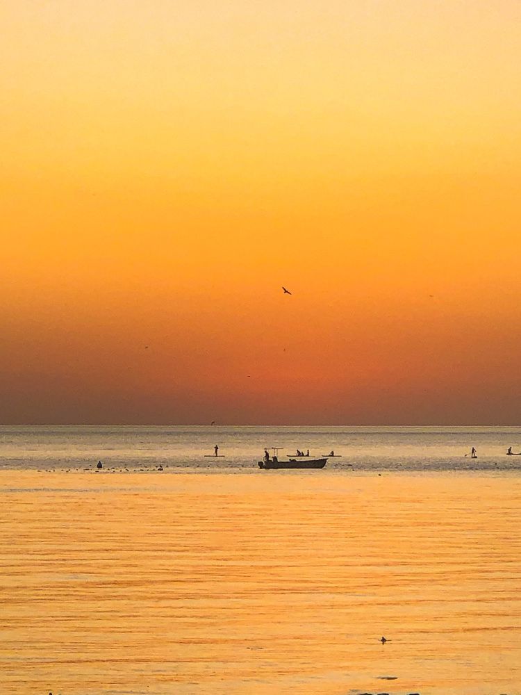 Photograph by Алена Жирова