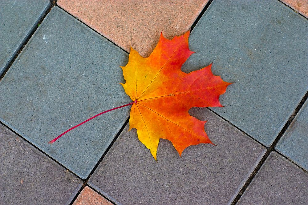 Photograph by Евгений Беленков