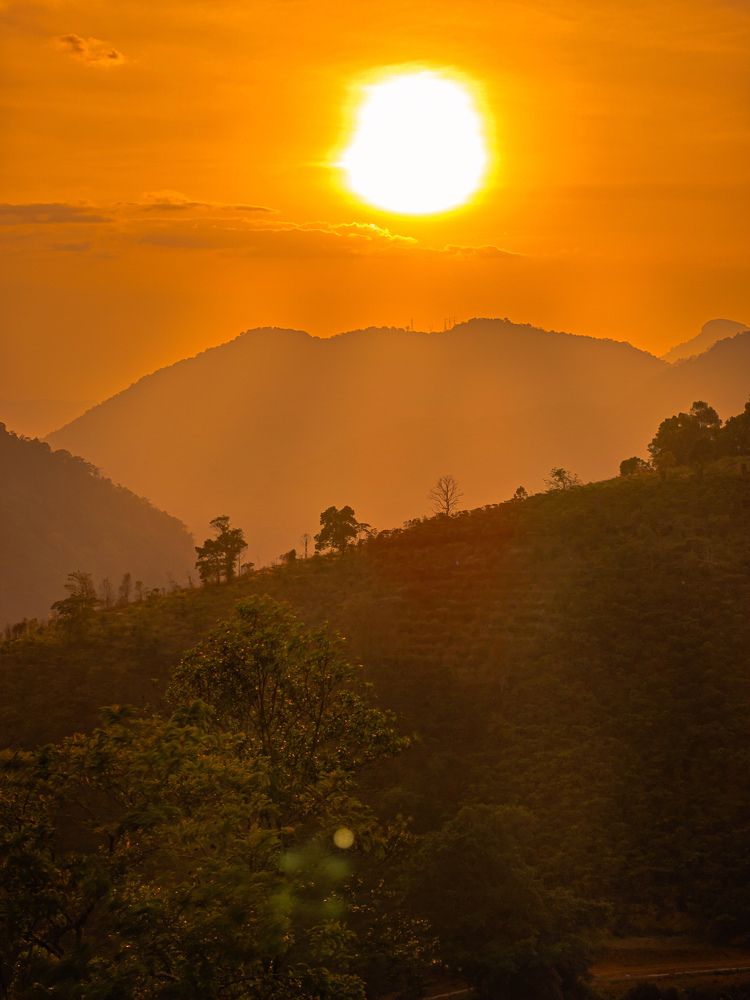 Photograph by Tran Phuong