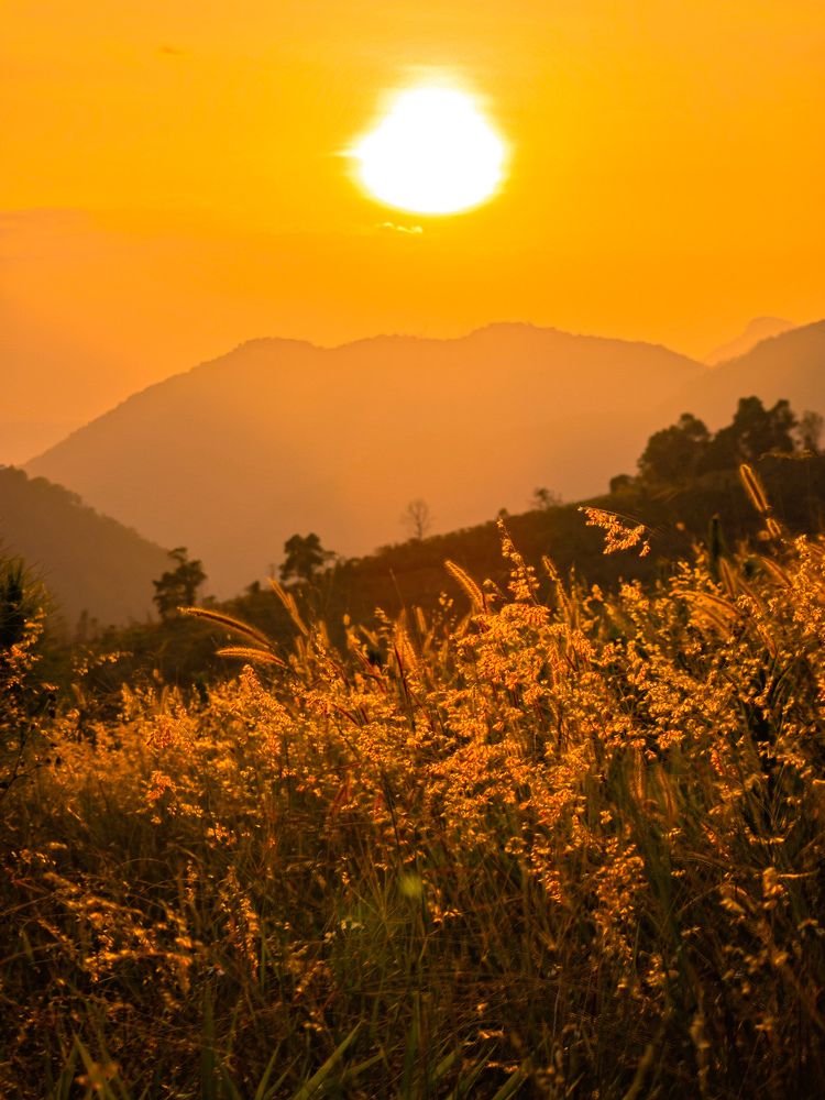 Photograph by Tran Phuong