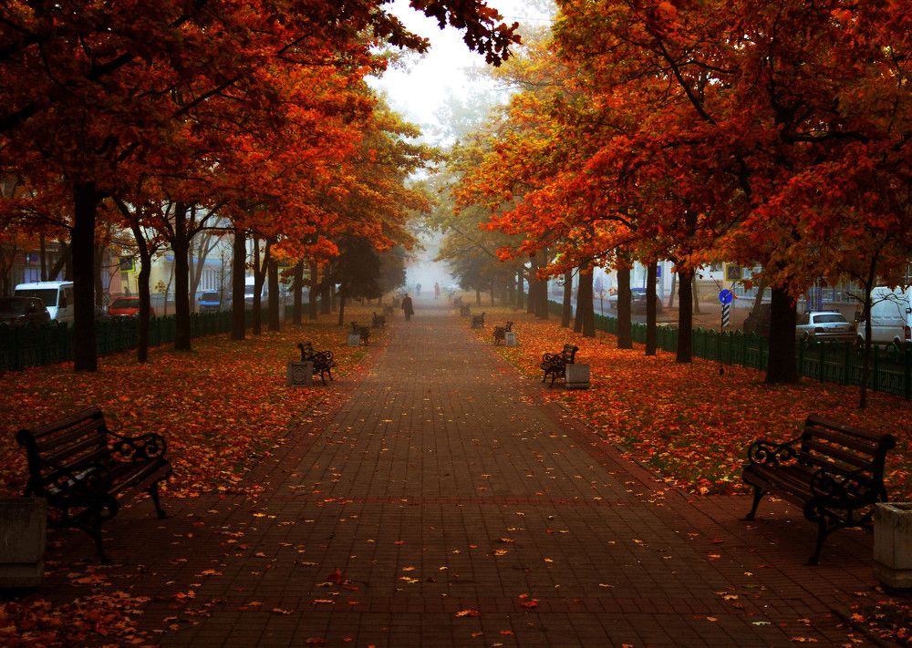 Photograph by Александр Зарх