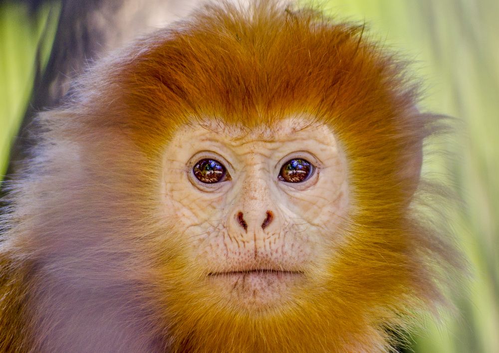 Photograph by Михаил Измайлов