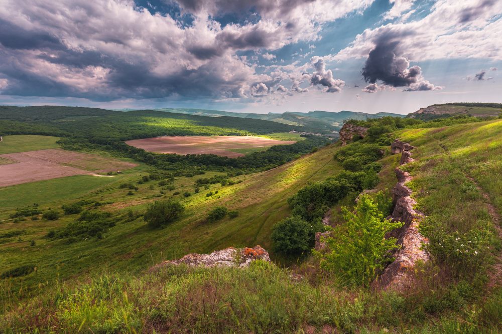 Photograph by Владимир Лысов
