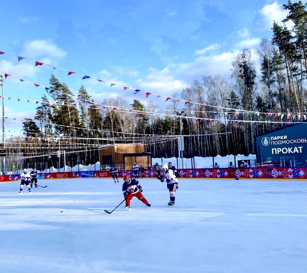 Хоккейный турнир