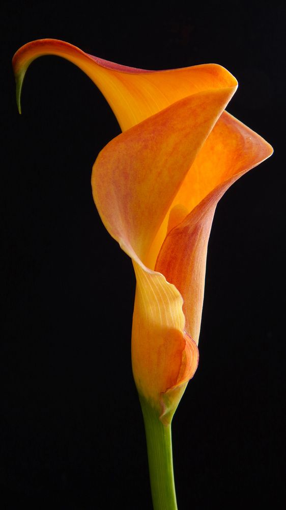 Photograph by Наталья Соколова