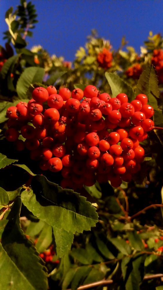 Photograph by Каковкина Ольга