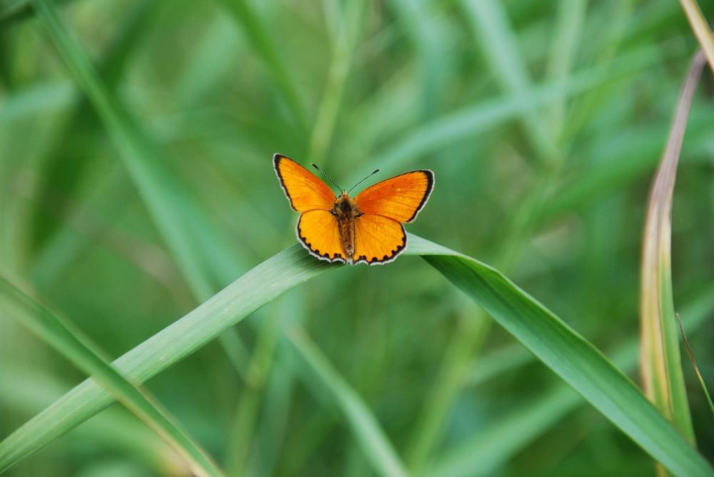 Photograph by Юрий Яковлев