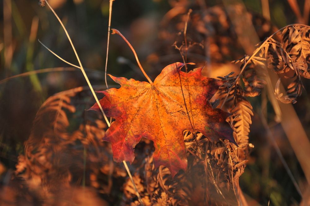 Photograph by Юрий Яковлев