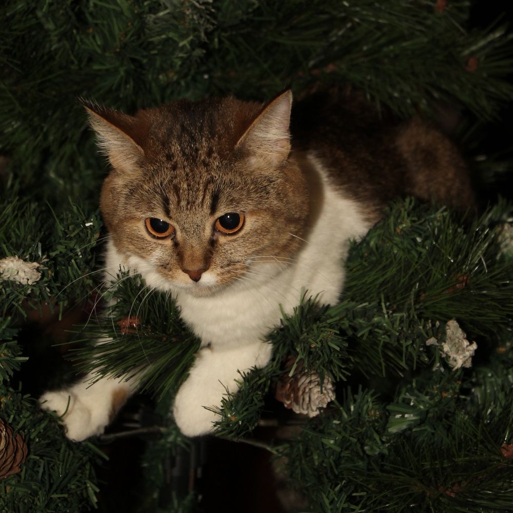 Photograph by Яна Цицилашвили