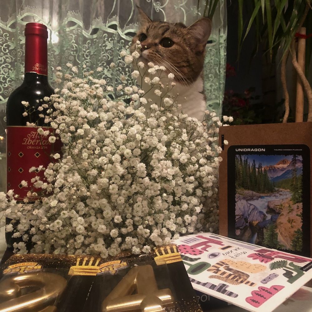 Photograph by Яна Цицилашвили