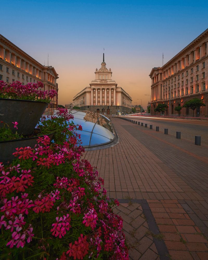 Фотография автора Emil Vasilev