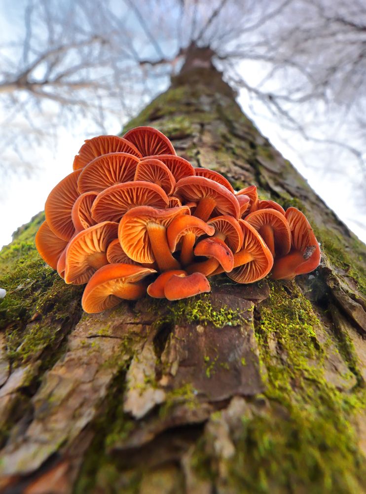 Photograph by Галина Горькавая