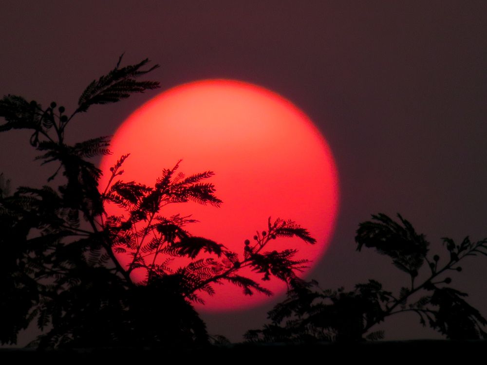 Photograph by Susmita Paul