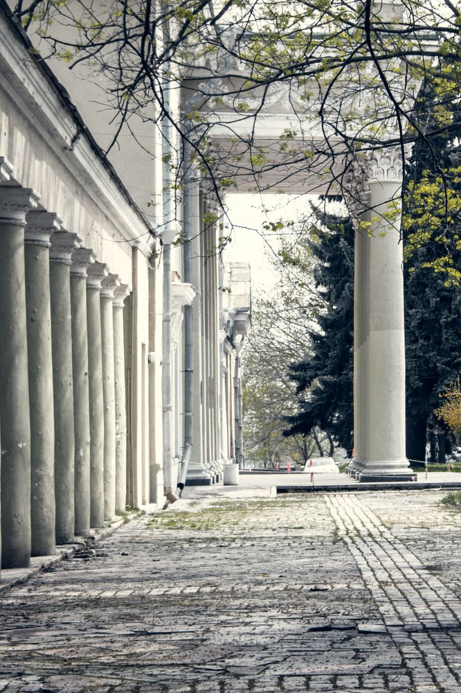 Photograph by Нелли Золотая