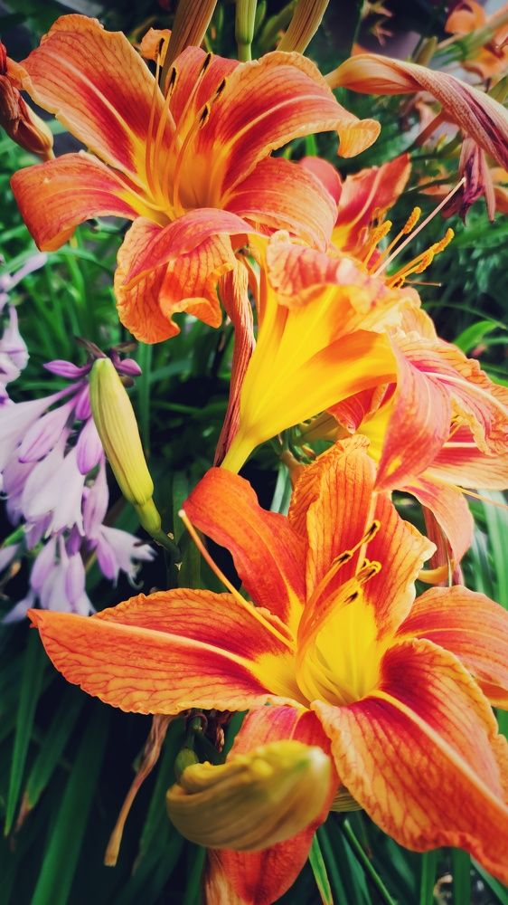 Photograph by Наталья Калюнова