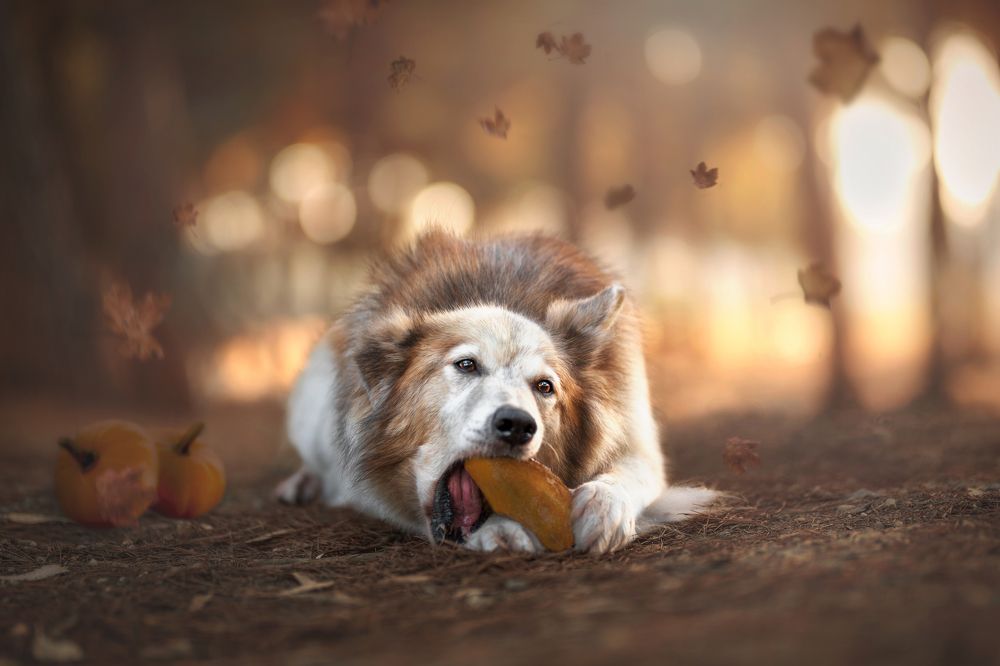 Фотография автора Ana Sánchez