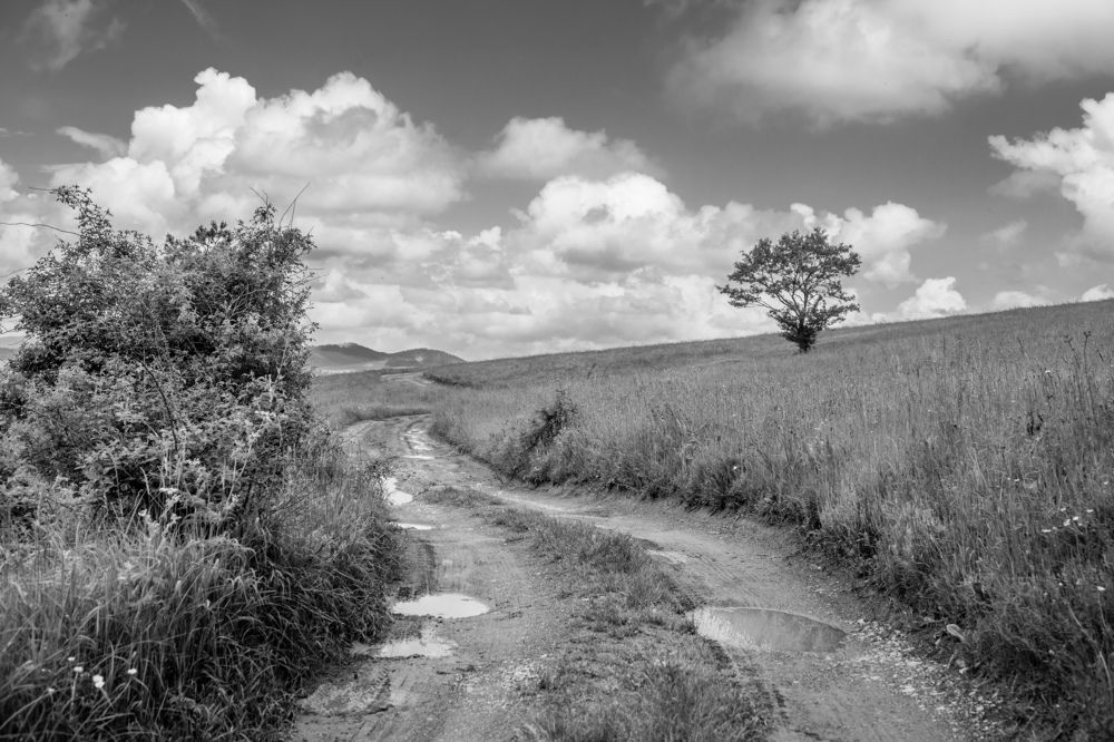 Photograph by Татьяна Алексеева