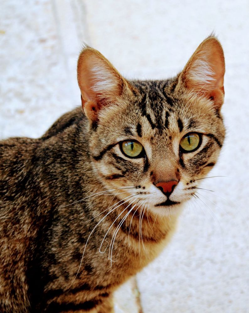 Photograph by Sakhria Mbarki