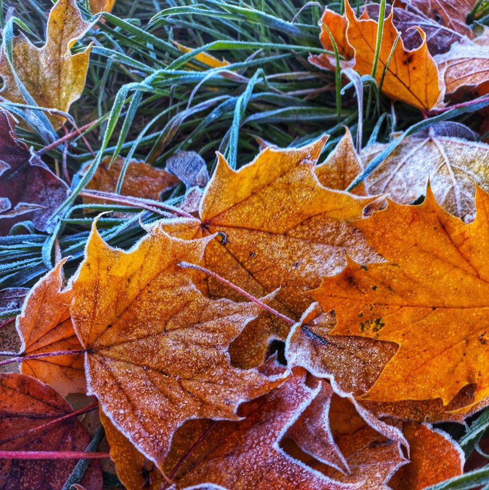 Photograph by Юлия Коробкова