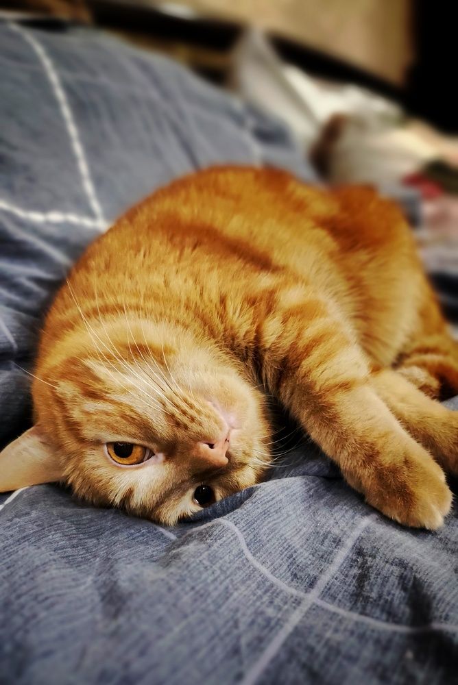 Photograph by Наталья Калюнова