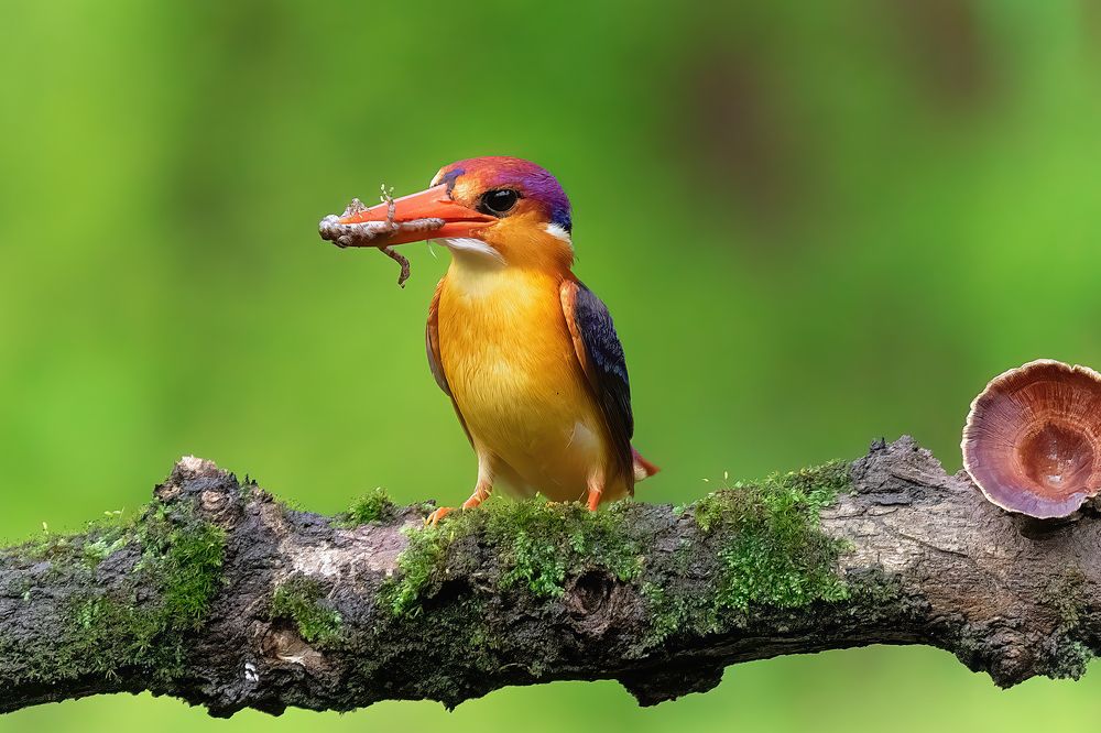 Photograph by Aniket Karane