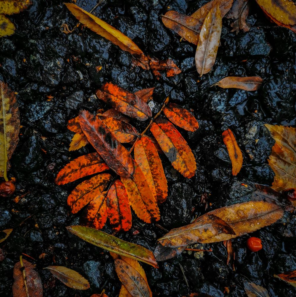 Photograph by Valentina Subbotina