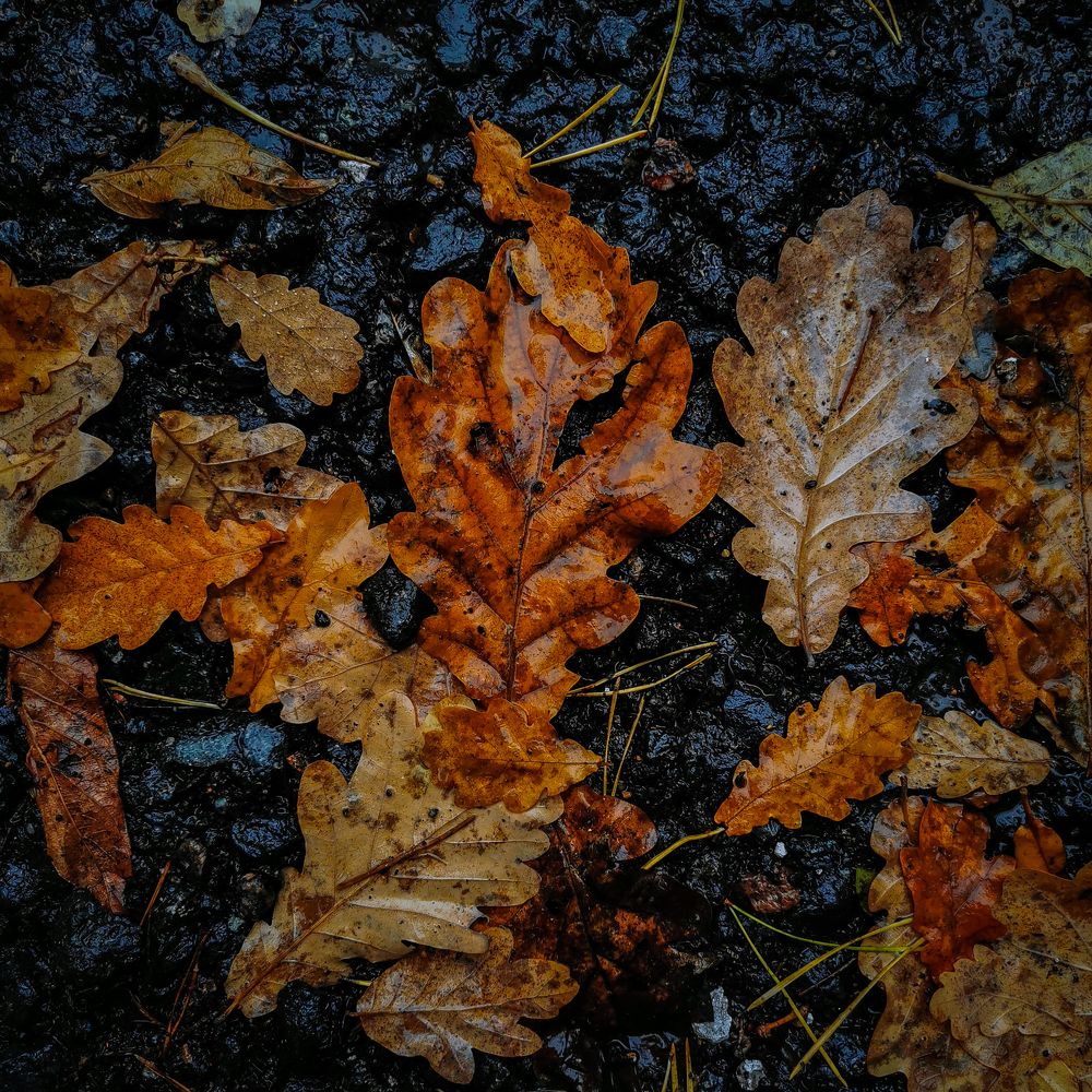 Photograph by Valentina Subbotina