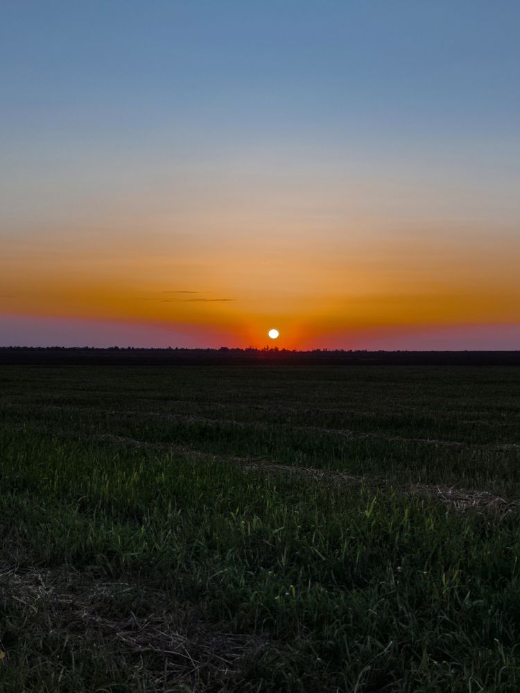 Photograph by Ирина Шибитова