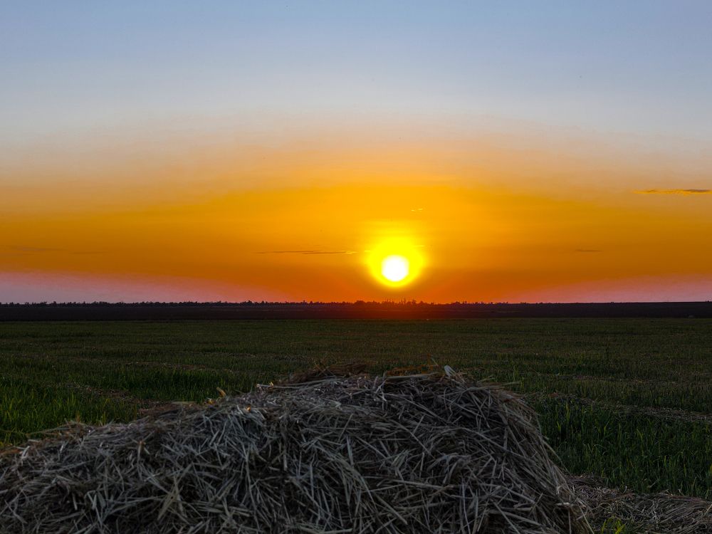 Photograph by Ирина Шибитова