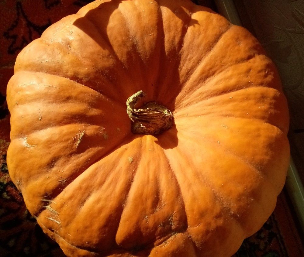 Photograph by Людмила Баглей