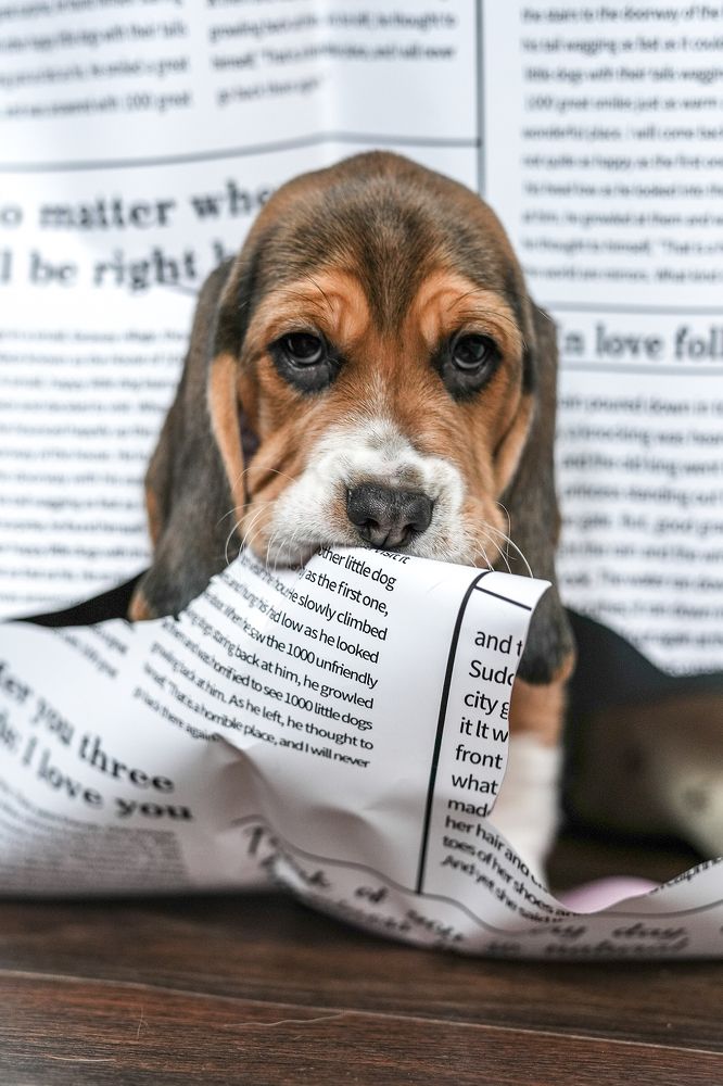 Photograph by Марина Суздаль