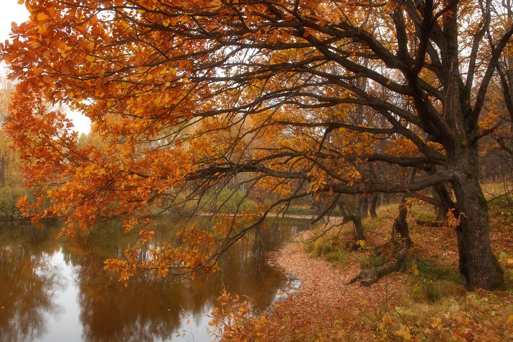 Photograph by Александр Чибиркин