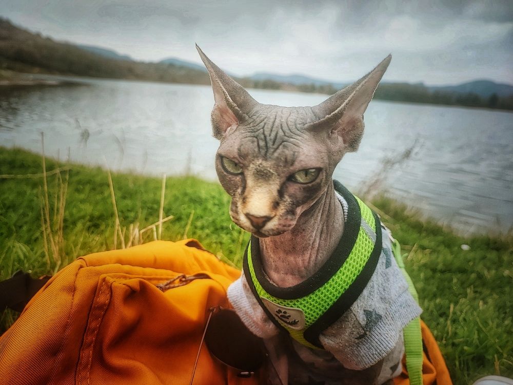 На прогулке