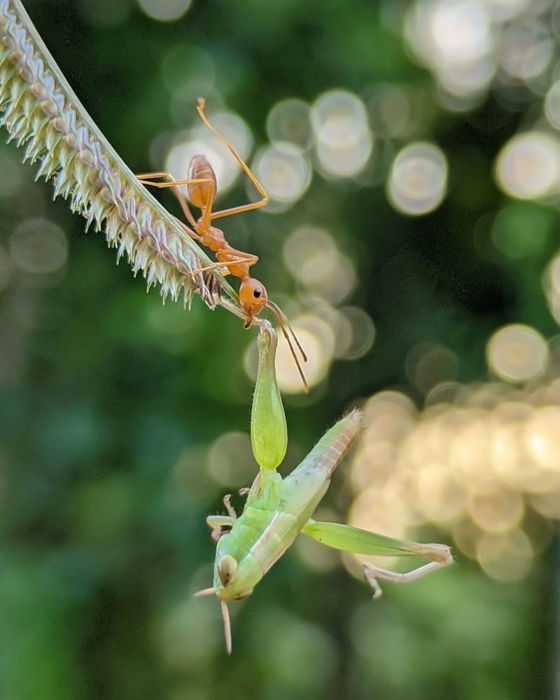 Photograph by Ajeesh A