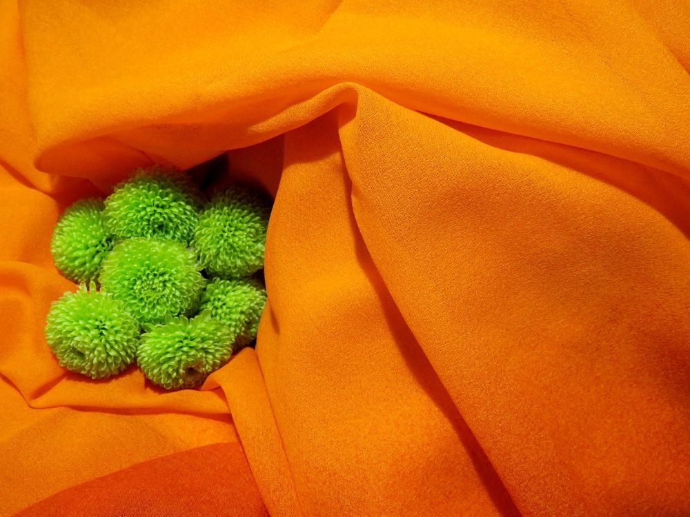 Green chrysanthemums on an orange background