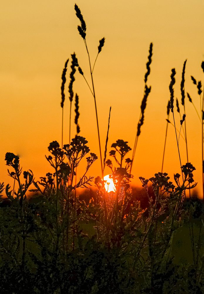 Photograph by Марина Суздаль