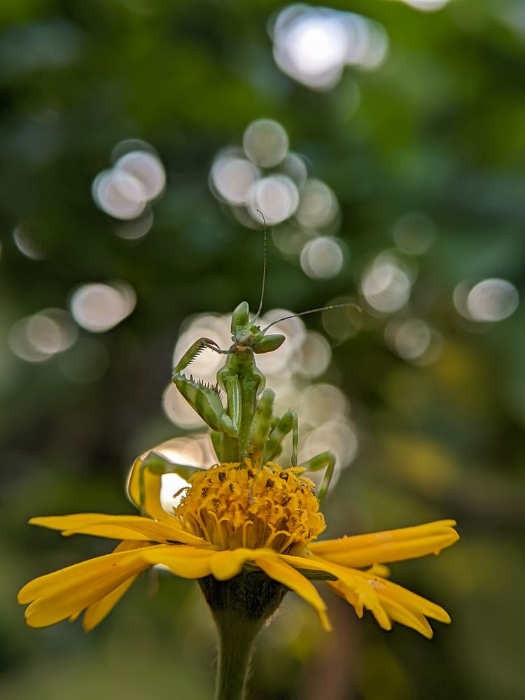 Photograph by Ajeesh A