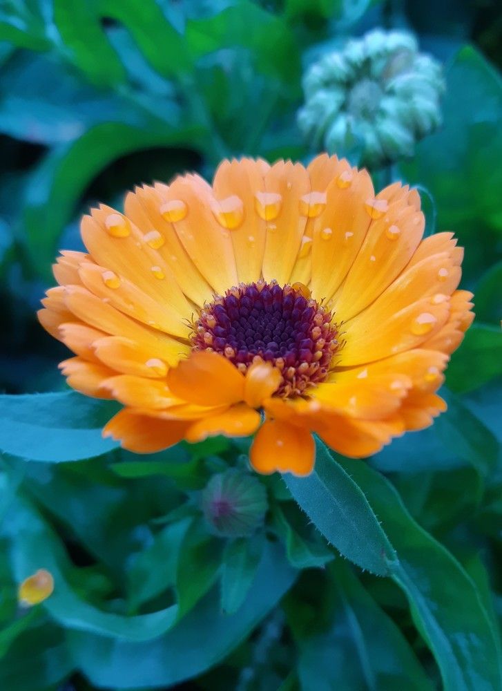 Фотография автора Ирина Лукьянчик