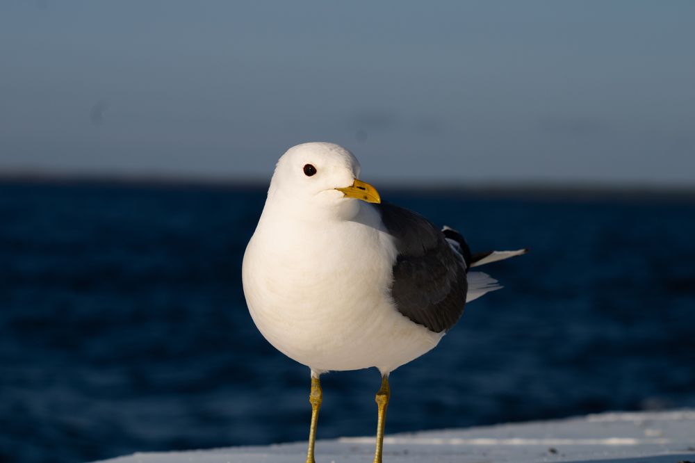 Photograph by Илья Кулаков