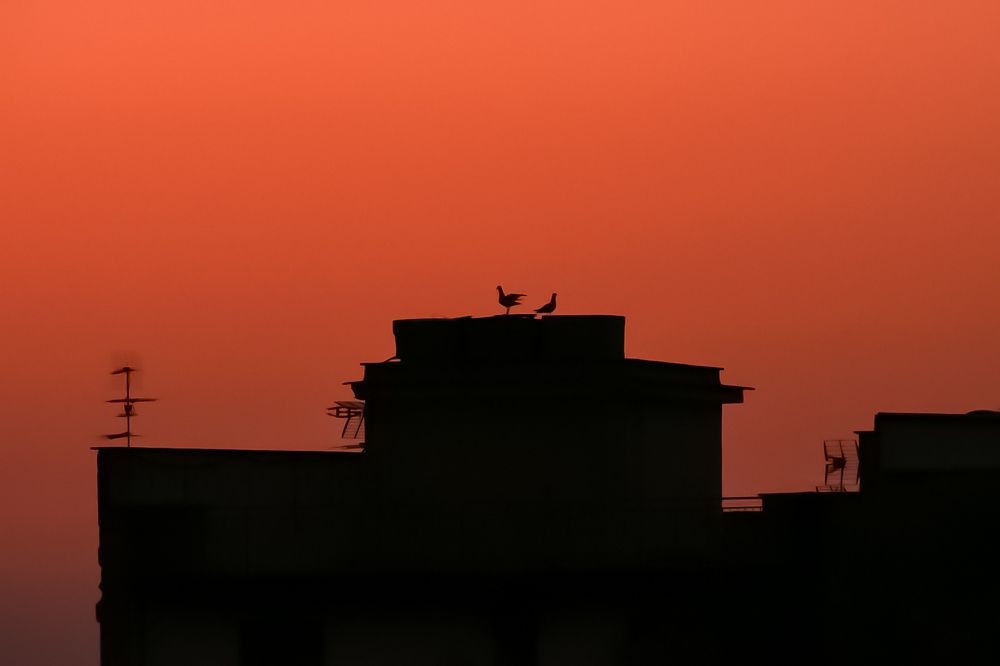 Photograph by Teresa Molinaro