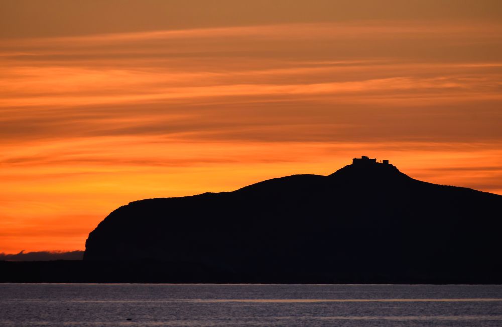 Photograph by Teresa Molinaro