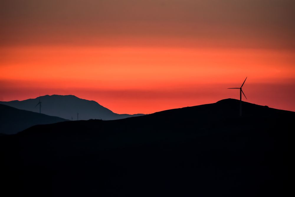 Photograph by Teresa Molinaro