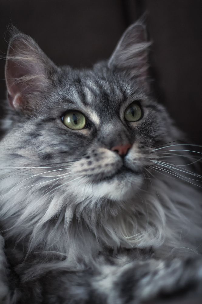 Photograph by Lana Soldatova