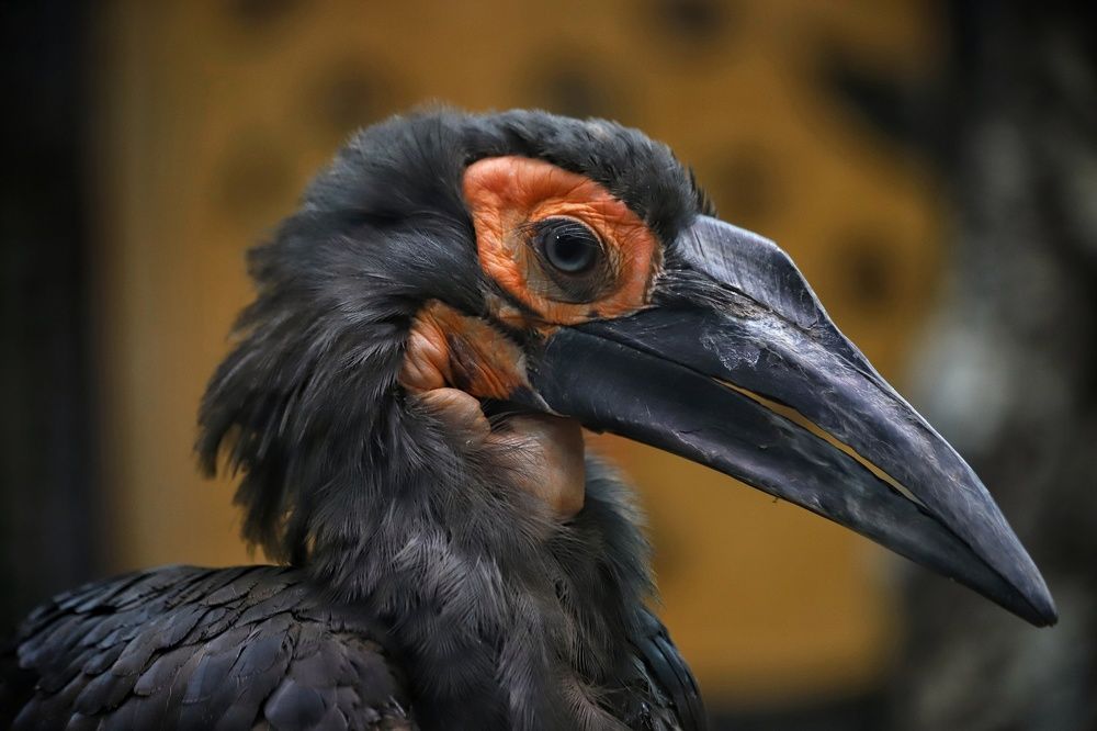 Фотография автора Елена Кириллова