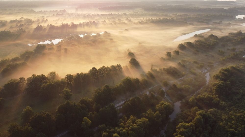 Photograph by Сергей Шляга