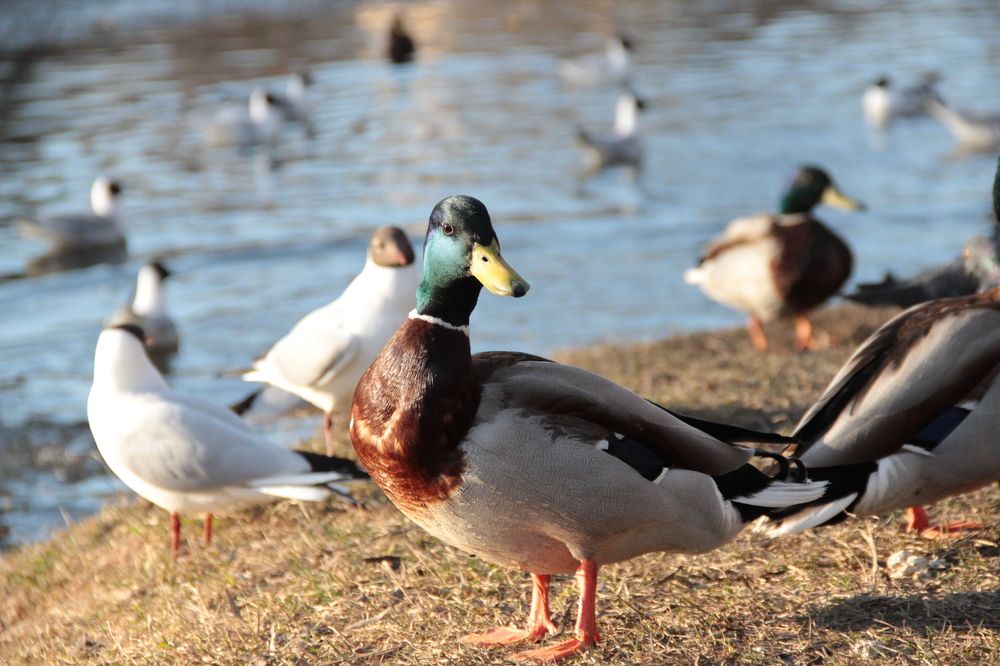Photograph by Анна Марковская