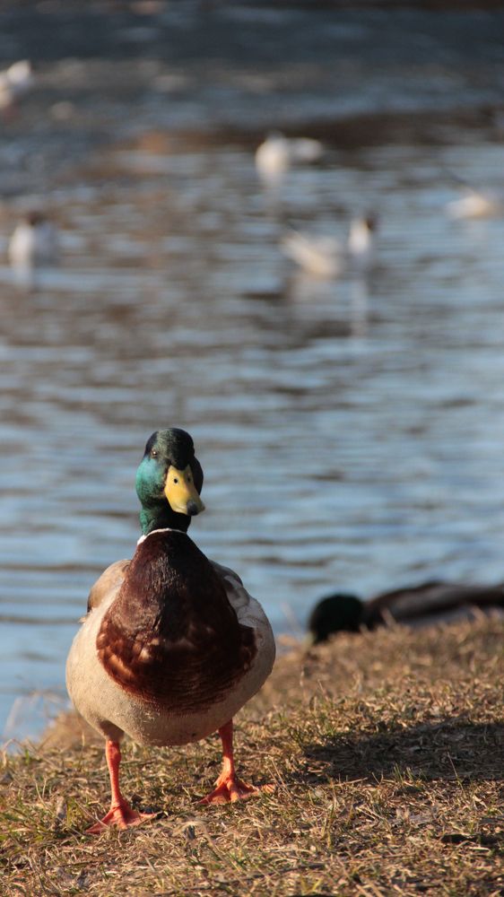 Photograph by Анна Марковская
