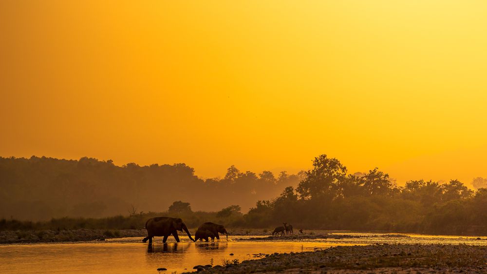 Photograph by Ayan Bhattacharya