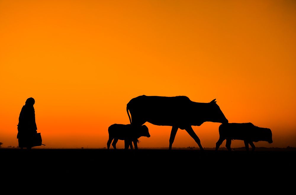 Photograph by Surojit Ghosh